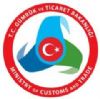 small_gümrük logo.bmp